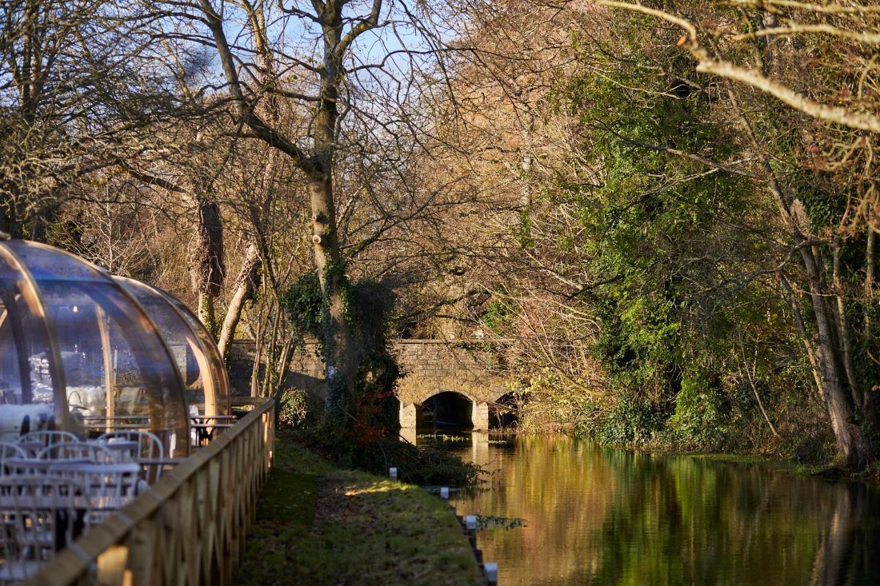 Wild Thyme & Honey - Cirencester-Cotswolds エクステリア 写真